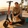 10'' Foldable Electric Scooter 800W 21mph Max Speed APP Smart Control Dual Suspension 22miles Max Range For City Commuter
