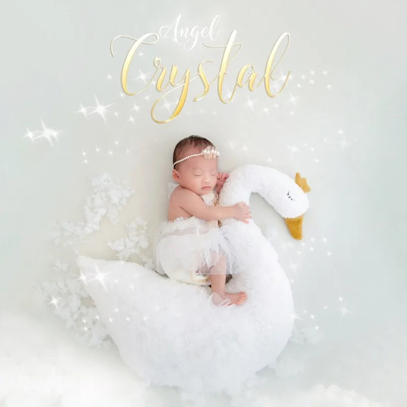 Newborn Photography Prop Swan Lace Outfit Set for Baby Photo Shoot 100 Days Studio Session