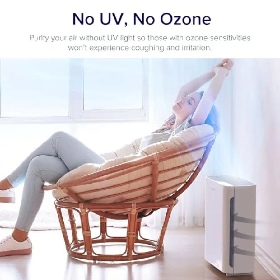 Air Purifier for Home Bedroom, Quiet Clean with Washable Pre-Filter for Dander, Smoke, Dust, Pollen, AHAM VERIFIDE, Odor Elimin