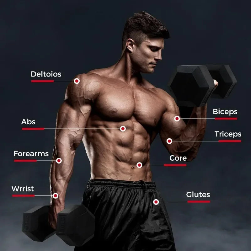 RitFit 250LB/300LB/350LB/550LB/650LB Rubber Hex Dumbbell Sets with Weights Rack, Multiple Color Choices Available